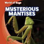 Tapa de Mysterious Mantises