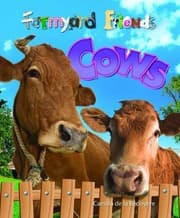 Tapa de Cows