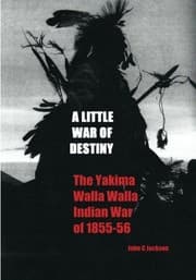 Tapa de A Little War of Destiny
