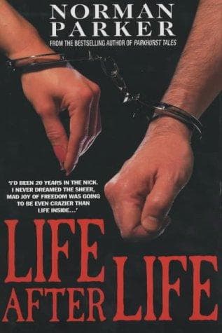 Tapa de Like after Life