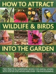 Tapa de How to Attract Wildlife & Birds into the Garden