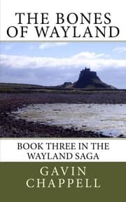 Tapa de The Bones of Wayland