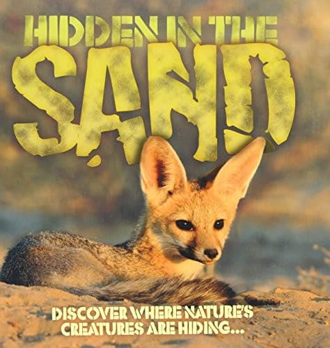 Tapa de Hidden in the Sand