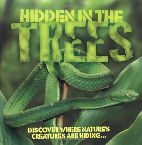 Tapa de Hidden in the Trees