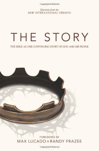 Tapa de The story, niv