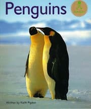 Tapa de Penguins