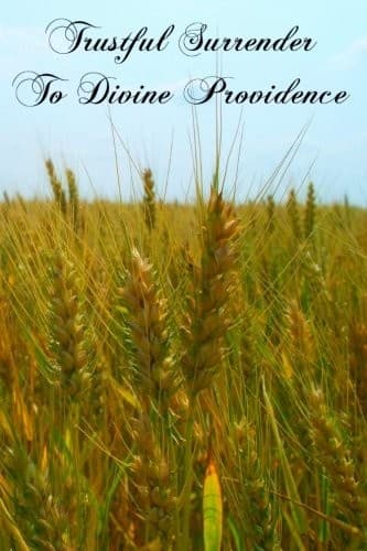 Tapa de Trustful Surrender To Divine Providence