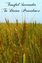 Tapa de Trustful Surrender To Divine Providence