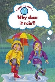 Tapa de Why Does It Rain?