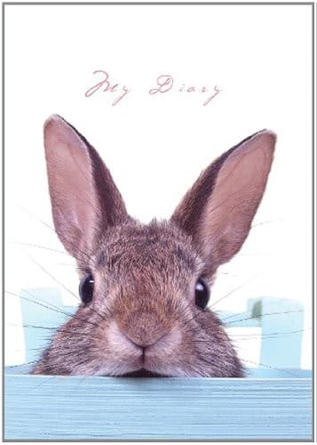 Tapa de Lock-Up Diary - Sneaky Bunny