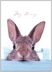 Tapa de Lock-Up Diary - Sneaky Bunny