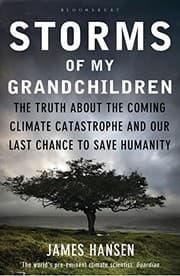 Tapa de Storms of My Grandchildren