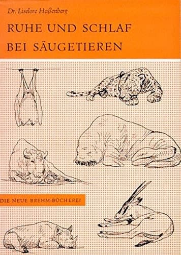 Tapa de Ruhe und Schlaf bei Säugetieren