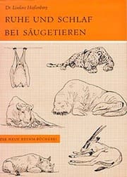 Tapa de Ruhe und Schlaf bei Säugetieren