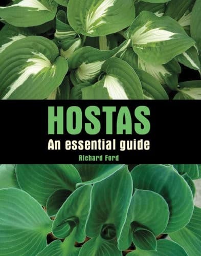 Tapa de Hostas