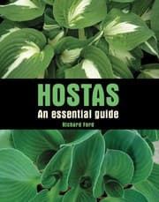 Tapa de Hostas