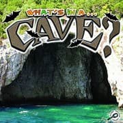 Tapa de Cave