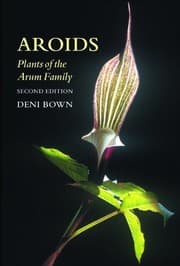 Tapa de Aroids