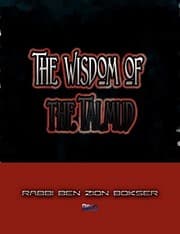 Tapa de The Wisdom of the Talmud