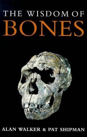 Tapa de The wisdom of bones
