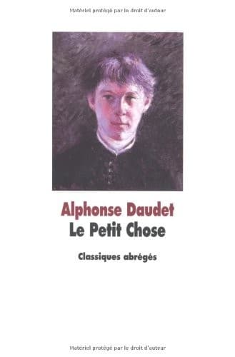 Tapa de Le Petit Chose