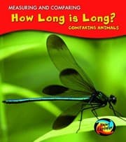 Tapa de How Long Is Long?
