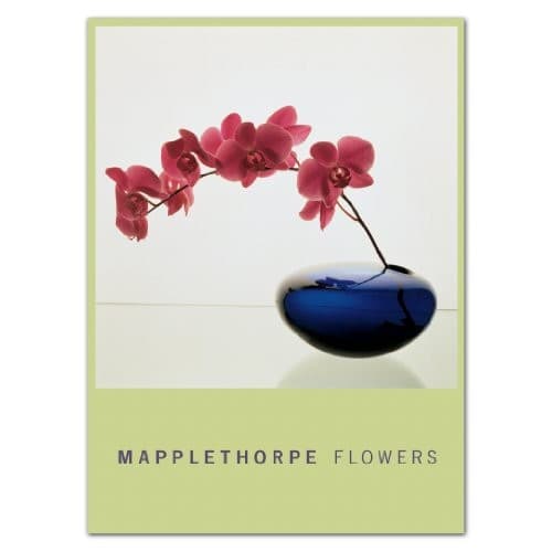 Tapa de Mapplethorpe Flowers;Notecard Boxes