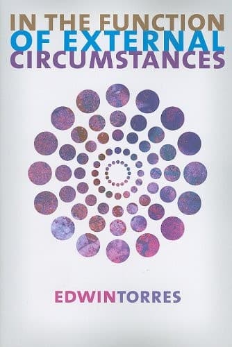 Tapa de In the Function of External Circumstances