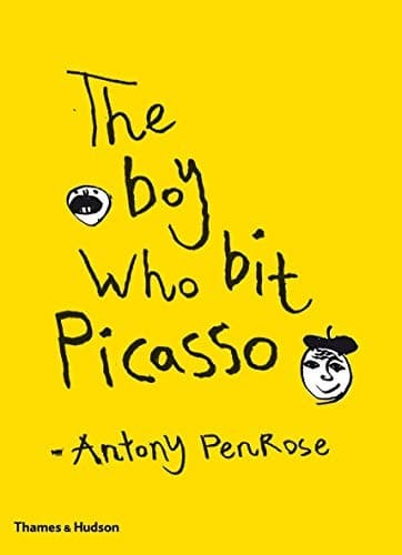 Tapa de Boy Who Bit Picasso