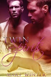 Tapa de Twin Spirits