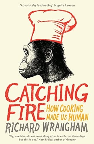 Tapa de Catching Fire