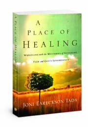 Tapa de A Place of Healing