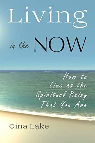 Tapa de Living in the Now