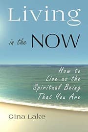 Tapa de Living in the Now
