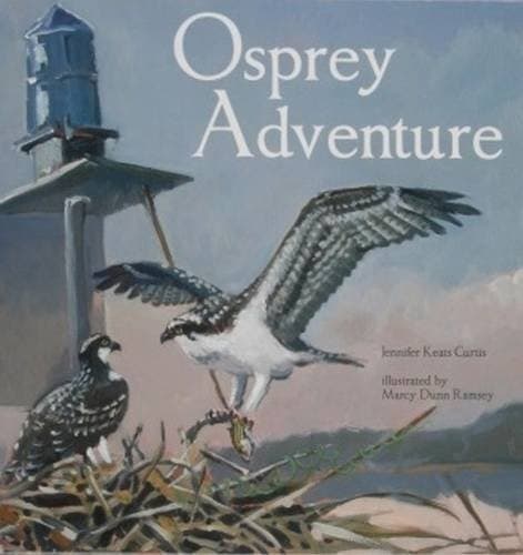 Tapa de Osprey adventure