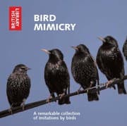 Tapa de Bird Mimicry