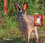 Tapa de Das kreative Sachbuch "Hase"