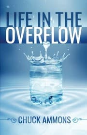 Tapa de Life in the Overflow