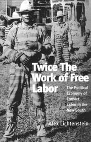 Tapa de Twice the Work of Free Labor
