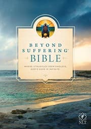 Tapa de Beyond Suffering Bible NLT