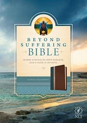 Tapa de Beyond Suffering Bible NLT, TuTone