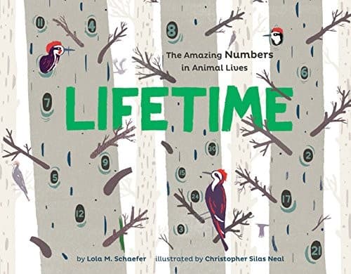 Tapa de Lifetime