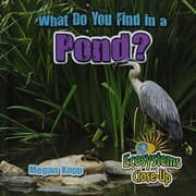 Tapa de What Do You Find in a Pond?