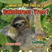Tapa de What Do You Find in a Rainforest Tree?