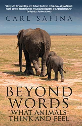 Tapa de Beyond Words