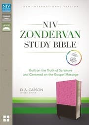 Tapa de NIV Zondervan Study Bible, Leathersoft, Pink/Brown, Indexed