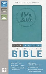 Tapa de NIV, Value Thinline Bible, Imitation Leather, Blue