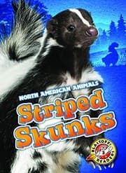 Tapa de Striped Skunks