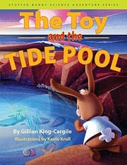 Tapa de The Toy and the Tide Pool