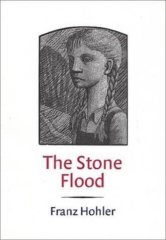 Tapa de The Stone Flood